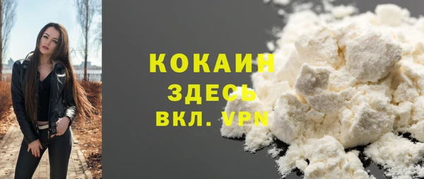 сатива Надым