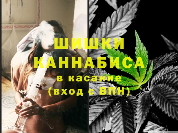 сатива Надым