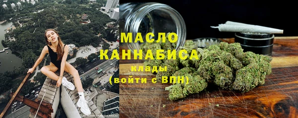сатива Надым