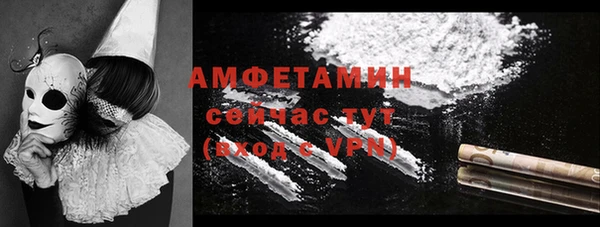 крисы Анива
