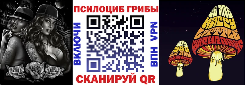 ОМГ ОМГ ССЫЛКА  Новороссийск  Галлюциногенные грибы Psilocybe  даркнет сайт 