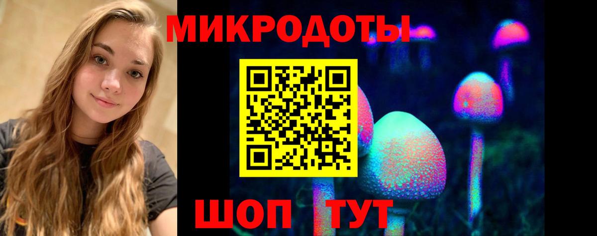 Галлюциногенные грибы Magic Shrooms Новороссийск