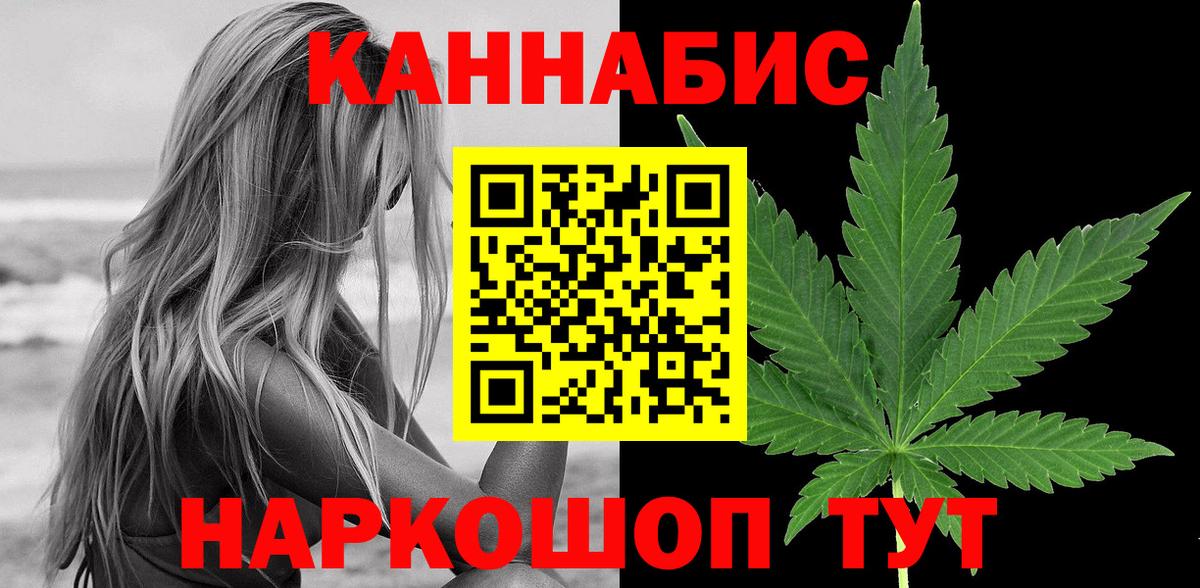 Шишки марихуана планчик Новороссийск